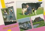 FRIESLAND Vissen Koe Haven Boerderij, Verzenden, 1980 tot heden, Gelopen, Friesland