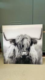 Pure living schilderij glas schotse hooglander, Huis en Inrichting, Woonaccessoires | Schilderijen, Tekeningen en Foto's, Ophalen