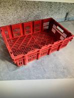 Kipkratten /nestkratten, Doe-het-zelf en Verbouw, Kratten en Dozen, Ophalen, Gebruikt, 40 tot 60 cm, 50 tot 75 cm