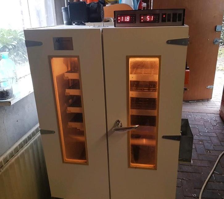 Te koop MS 500 Slaglatten Broedmachine, Dieren en Toebehoren, Pluimvee | Toebehoren, Gebruikt, Broedmachine, Ophalen