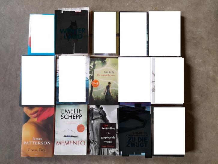 Kelly Erin : De verdorde roos, Boeken, Thrillers, Ophalen of Verzenden