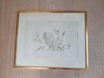 ets CALLE JONZON, Zweedse kunstenaar, Vogel, Antiek en Kunst, Kunst | Etsen en Gravures, Ophalen