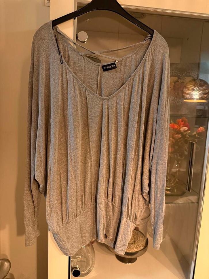 Grijze trui met lange mouwen - Z. Bizzy maat 48, Kleding | Dames, Tops, Zo goed als nieuw, Maat 46/48 (XL) of groter, Grijs, Lange mouw