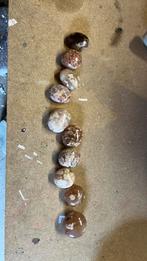 Knuffelstenen bloemagaat 10 stuks, Verzamelen, Mineralen en Fossielen, Ophalen of Verzenden, Mineraal