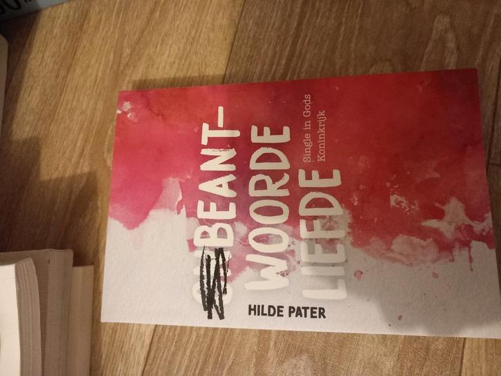 Hilde Pater - Beantwoorde liefde, Boeken, Politiek en Maatschappij, Zo goed als nieuw, Nederland, Ophalen of Verzenden