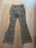 Geisha panter flared broek Maat 152, Ophalen of Verzenden, Zo goed als nieuw, Meisje, Broek