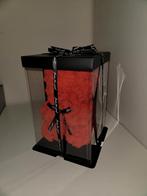 Rode rozen beer in geschenkverpakking, Ophalen, Overige soorten, Halfschaduw, In pot