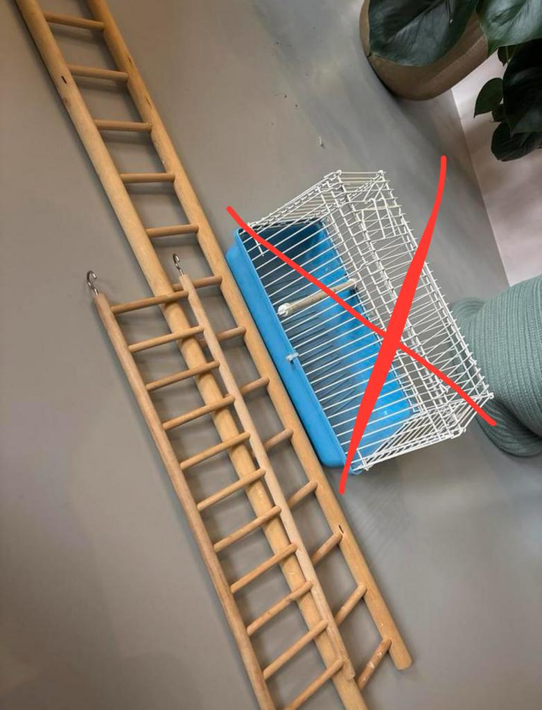 2x Houten Ladders voor Grote Parkieten, Ophalen