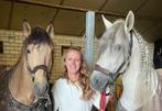 2 PRE‘s ieder apart ter beschikking voor lease, Dieren en Toebehoren, Stalling en Weidegang