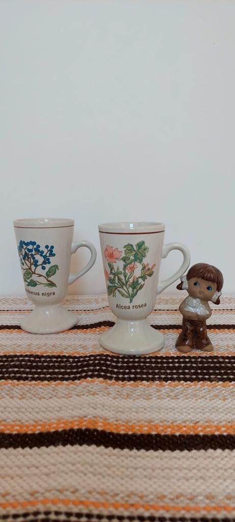 set twee vintage botanische mokken beker koffie thee 70s, Ophalen of Verzenden, Zo goed als nieuw, Overige stijlen, Kop(pen) en/of Schotel(s)