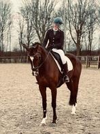 Lieve 16 jarige merrie te koop!, Dieren en Toebehoren, Paarden, Merrie, Recreatiepaard