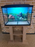 Superfish aquarium (60cm) incl. meubel, Dieren en Toebehoren, Vissen | Aquaria en Toebehoren, Ophalen, Zo goed als nieuw, Leeg aquarium