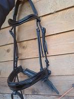 Hoofdstel maat full, Ophalen of Verzenden, Dressuur