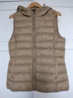 mooie nieuwe bodywarmer van ONLY, Kleding | Dames, Bodywarmers, Nieuw, Beige, Maat 42/44 (L), Only