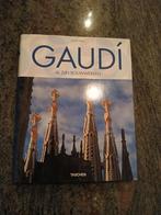 Gaudi al zijn bouwwerken kunstboek, Boeken, Ophalen of Verzenden