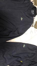 Lacoste maat s, Ophalen of Verzenden, Zo goed als nieuw
