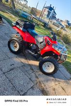 Polaris 300cc Automaat L7e Trekhaak, Motoren, Ophalen