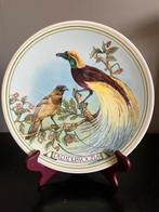 Wnf wandbord met grote paradijsvogels, Antiek en Kunst, Ophalen of Verzenden