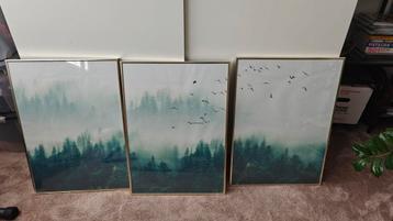 3x ingelijste poster natuur / bomen / bos / mist beschikbaar voor biedingen