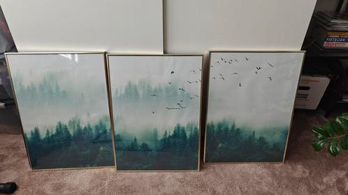 3x ingelijste poster natuur / bomen / bos / mist, Verzamelen, Posters, Zo goed als nieuw, Rechthoekig Staand, Ophalen