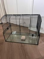 Hamsterhok, Dieren en Toebehoren, Ophalen of Verzenden, Hok, Minder dan 60 cm