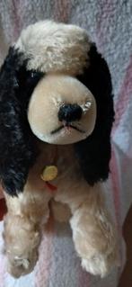 Cocker Spaniel van Hermann Teddy, Ophalen of Verzenden