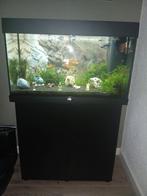 Aquarium 120 l, Dieren en Toebehoren, Vissen | Aquaria en Toebehoren, Ophalen, Zo goed als nieuw, Leeg aquarium