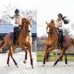 Instructie aangeboden door orun gediplomeerde subtop amazone, Stalling of Weidegang