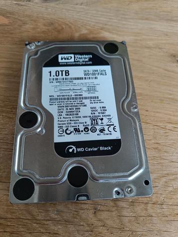 1tb hardeschijf hard disk, western digital beschikbaar voor biedingen