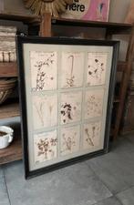 Oude grote hebarium **het geruite roosje**, Antiek en Kunst, Ophalen