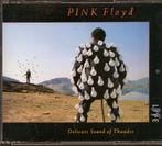 Pink Floyd - Delicate sound of thunder, Cd's en Dvd's, Ophalen of Verzenden, Zo goed als nieuw