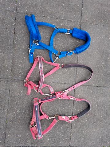 3 x halsters maat: cob schockmhüle QHP beschikbaar voor biedingen
