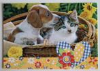 Pup (Jack Russell, Beagle?) hond met kat, Verzamelen, Ansichtkaarten | Dieren, Ophalen of Verzenden, 1980 tot heden, Ongelopen