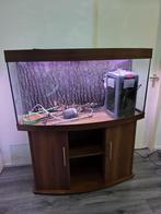 Juwel vision 260 aquarium + toebehoren, Ophalen, Leeg aquarium
