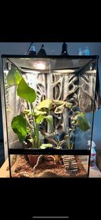 Exo Terra terrarium 60x45x90, Ophalen, Terrarium of Paludarium