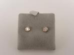 Gouden oorknopjes met zirkonia                           G16, Sieraden, Tassen en Uiterlijk, Oorbellen, Gebruikt, Overige kleuren