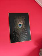 Mooie print van een pauwenveer, 80x60 cm, Ophalen of Verzenden, 75 tot 100 cm, 75 cm of meer, Print