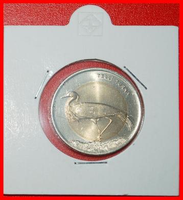 * RARE: TURKEY 1 LIRA 2013 CRANE! UNC MINT LUSTRE! IN HOLDER beschikbaar voor biedingen