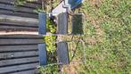 T.e.a.b. 2 Ikea klapstoelen, Huis en Inrichting, Stoelen, Ophalen, Gebruikt, Twee