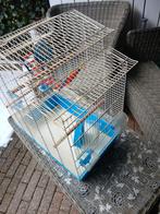 Kooi 50 breed hoog 65 cm, Ophalen of Verzenden