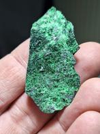 UVAROVIET RUSLAND, Ophalen of Verzenden, Mineraal