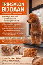 Rustige trimsalon Grootschermer, Trimmen of Verzorging