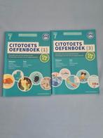 Citotoets groep 7, Ophalen of Verzenden, Zo goed als nieuw, Overige niveaus, Nederlands