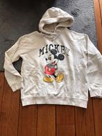 Meisjes hoodie trui maat XS, H&M, Beige, Ophalen of Verzenden, Maat 34 (XS) of kleiner