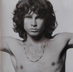 dubbel - C.D. : the Doors - the Best of the Doors (1985), Ophalen of Verzenden, 1980 tot 2000, Gebruikt