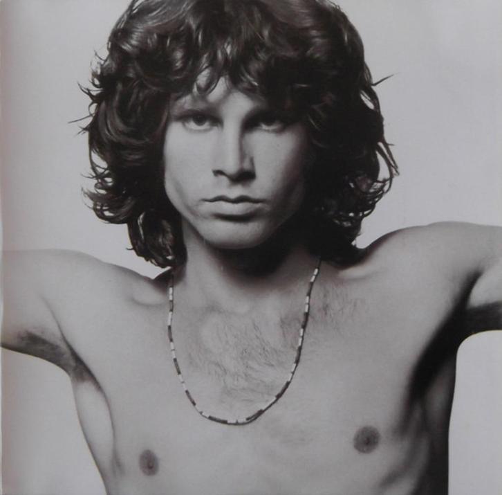 dubbel - C.D. : the Doors - the Best of the Doors (1985), Cd's en Dvd's, Cd's | Pop, Gebruikt, 1980 tot 2000, Ophalen of Verzenden