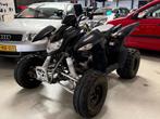 Quad ACCES MOTOR *  MET GORDEL *, 249 cc, 1 cilinder, 12 t/m 35 kW