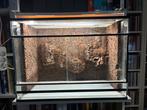 Terrarium 70x40x50cm, Dieren en Toebehoren, Ophalen, Zo goed als nieuw