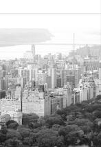 Nieuwe Björksa poster 200x140cm in originele verpakking, Ophalen, Nieuw, Deurposter of groter, Rechthoekig Liggend