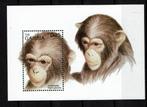 gambia 1996 pf blok chimpansee apen wildlife zoogdieren, Ophalen of Verzenden, Dier of Natuur, Postfris